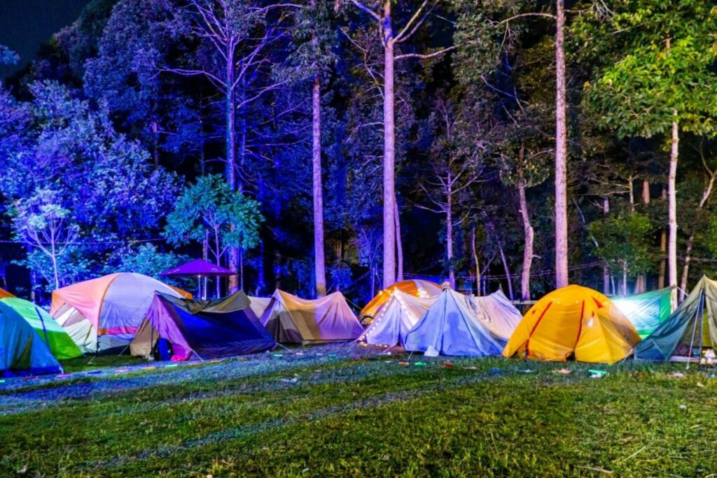 Ánh đèn từ sân khấu trung tâm hắt lên những chiếc lều lung linh của du khách – Nguồn: Cat Tien National Park