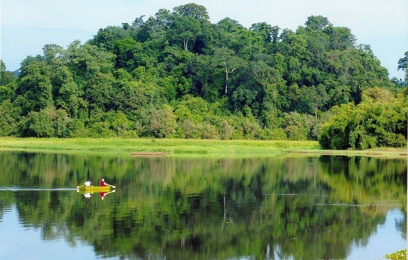 Khu đất ngập nước Bàu Sấu, một góc của Vườn quốc gia Cát Tiên – Nguồn: Cat Tien National Park