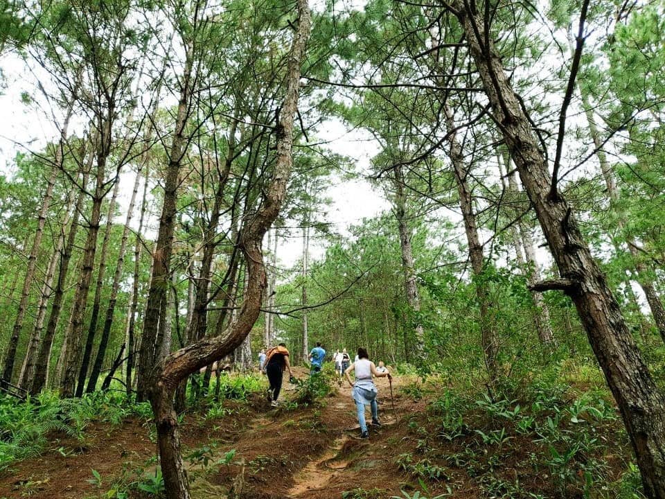 Leo núi chinh phục đỉnh Langbiang – Nguồn: Hội Leo núi