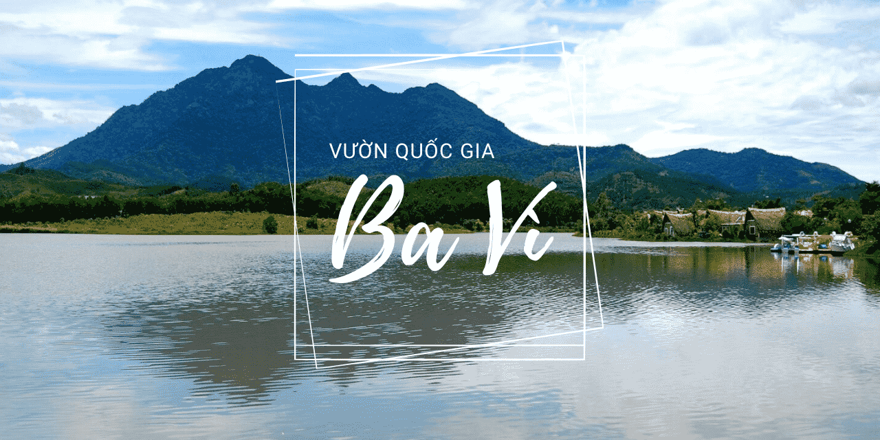 F7221E3C-2516-481E-A1CF-3FFB2D085F92