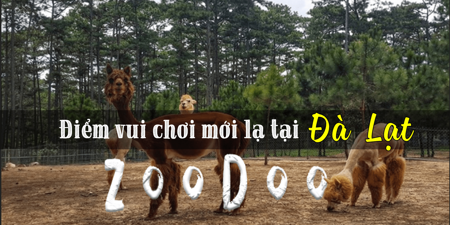 khu-vui-choi-zoo-doo-1 Công viên ZooDoo Đà Lạt