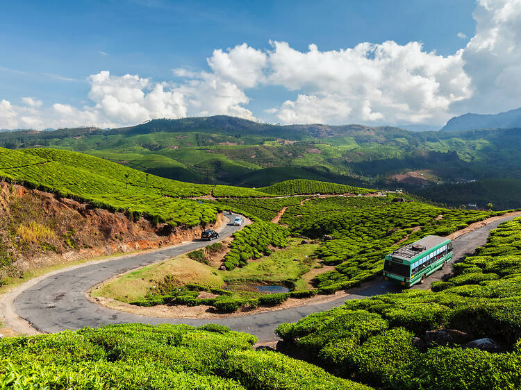 Nguồn: Shutterstock