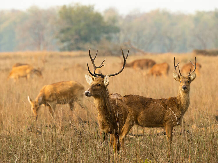 Nguồn: Shutterstock