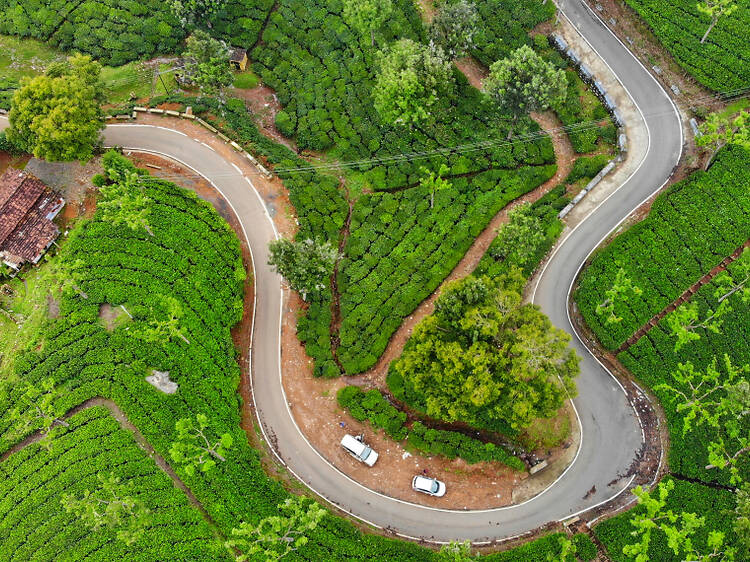 Nguồn: Shutterstock