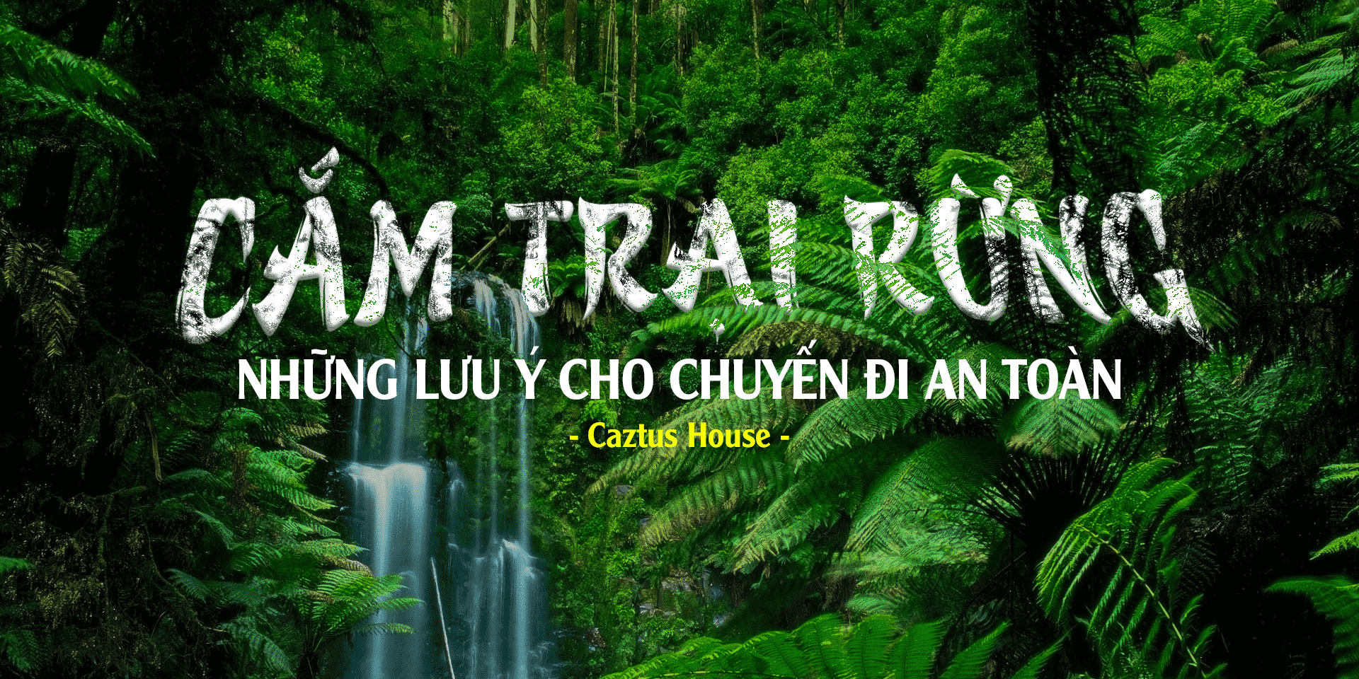 cam-trai-rung Những điều cần thiết khi cắm trại rừng