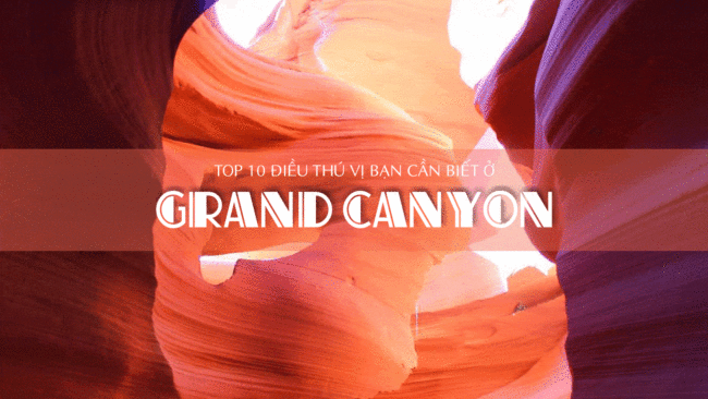 top-10-dieu-thu-vi-ban-can-biet-khi-den-cong-vien-quoc-gia-grand-canyon-my-min