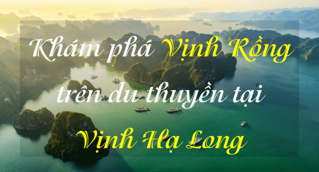 Khám phá Vịnh Rồng trên du thuyền tại Vịnh Hạ Long
