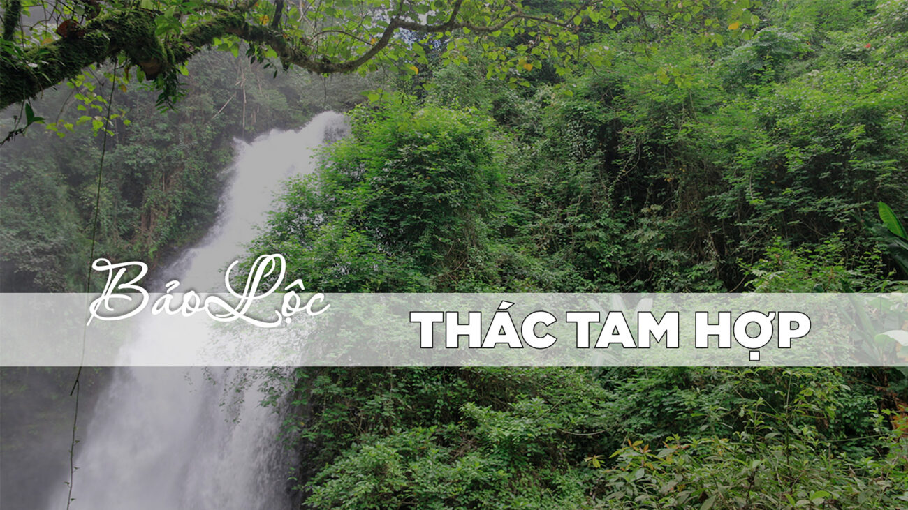 Khám phá Thác Tam Hợp Bảo Lộc