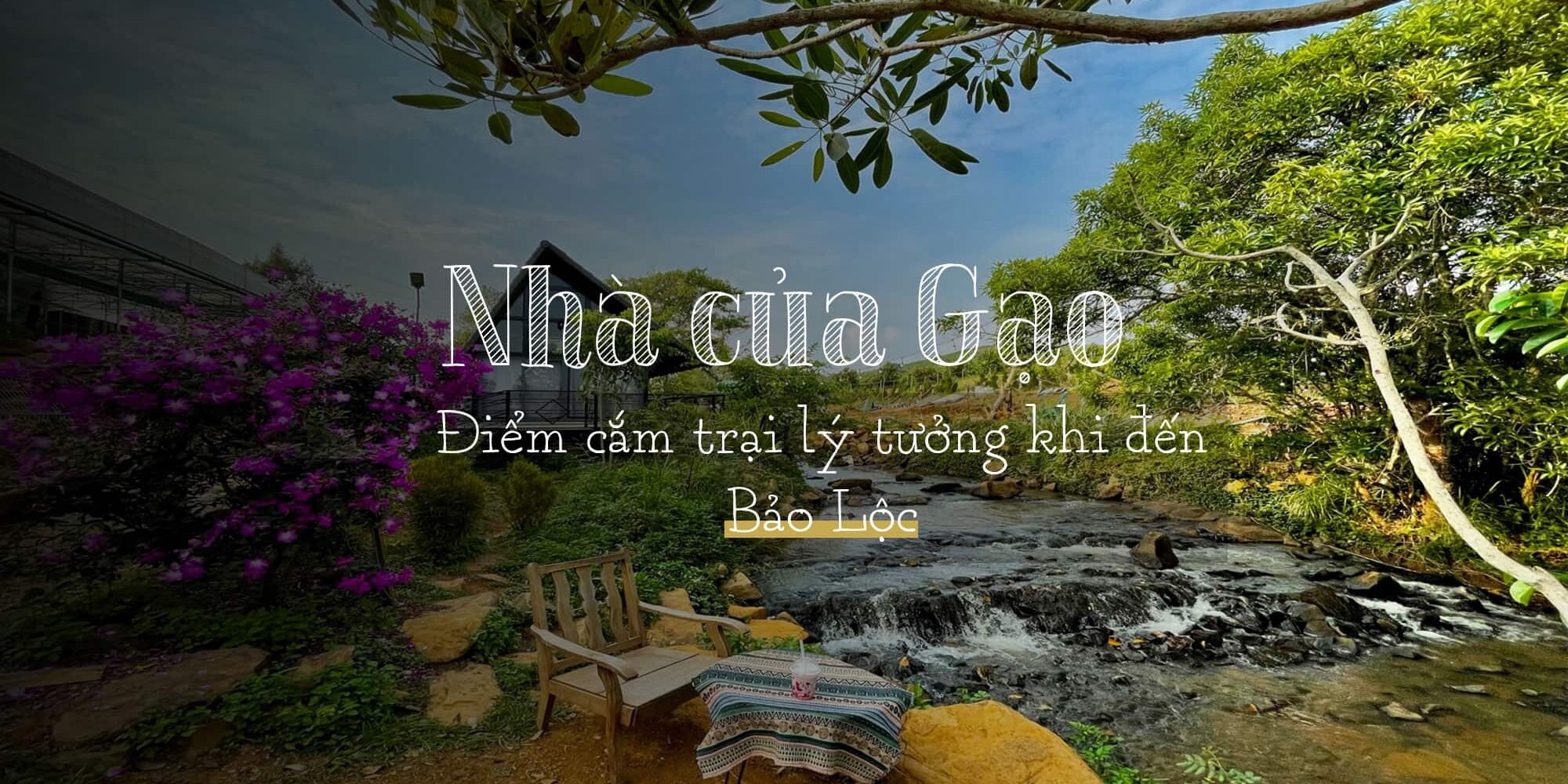 Nhà của Gạo - điểm cắm trại không thể bỏ qua khi đến Bảo Lộc