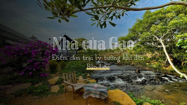 nha-cua-gao Nhà của Gạo - điểm cắm trại không thể bỏ qua khi đến Bảo Lộc