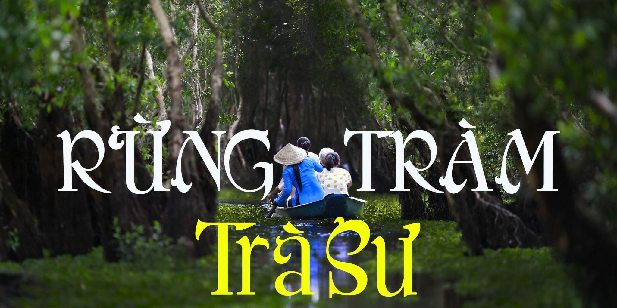 rung-tram-tra-su Rừng tràm trà sư – trải nghiệm du lịch độc đáo khi đến an giang