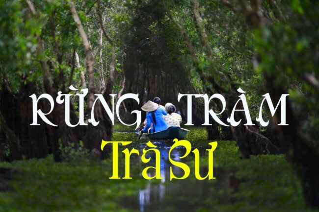 rung-tram-tra-su Rừng tràm trà sư – trải nghiệm du lịch độc đáo khi đến an giang