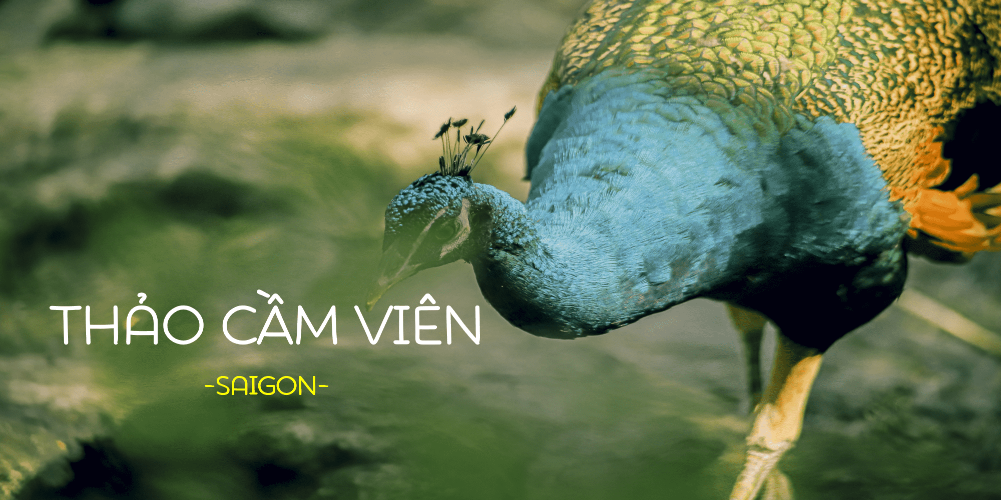 thao-cam-vien-sai-gon-diem-vui-choi Thảo Cầm Viên – Nguồn: Kỳ Anh Nguyễn