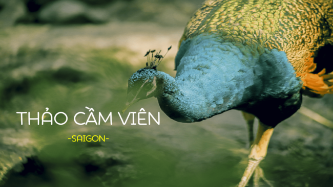 Thảo Cầm Viên – Nguồn: Kỳ Anh Nguyễn