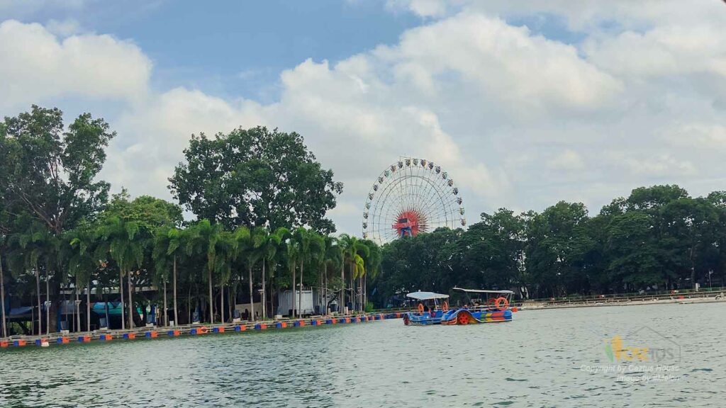 Đạp vịt Pedalo - Thư giãn giữa lòng hồ cùng gia đình