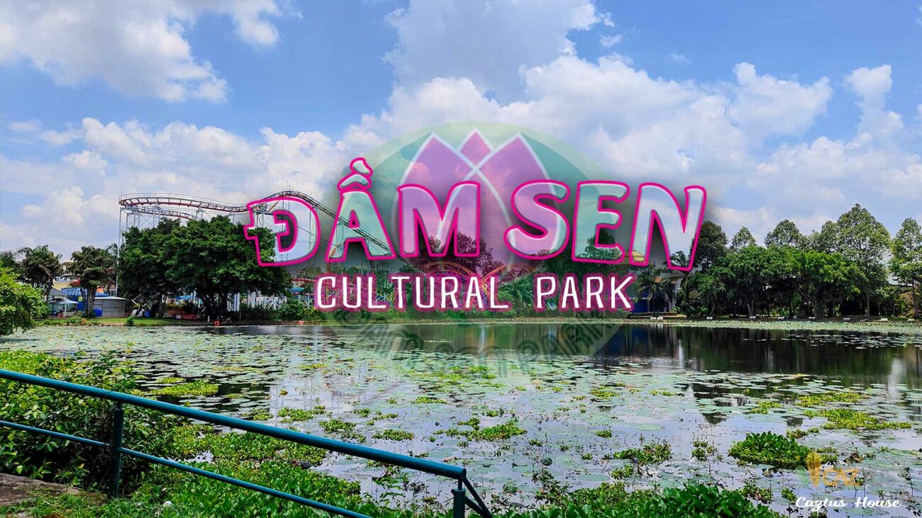 ĐẦM SEN - KHU VUI CHƠI CỦA TUỔI THƠ