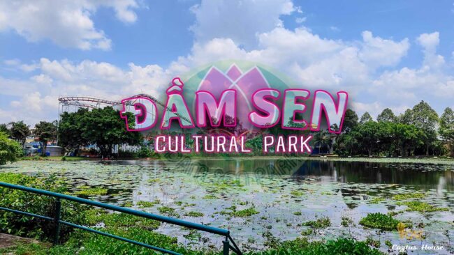 ĐẦM SEN - KHU VUI CHƠI CỦA TUỔI THƠ