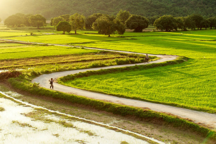 Cảm nhận nét đẹp hoang sơ của thiên nhiên An Giang, nơi mà tâm hồn bạn có thể tìm thấy sự kết nối sâu xa với vũ trụ.