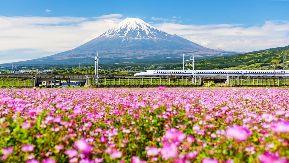 Japan Rail Pass là một lựa chọn tốt để tiết kiệm chi phí đi lại bằng tàu - Nguồn: Internet