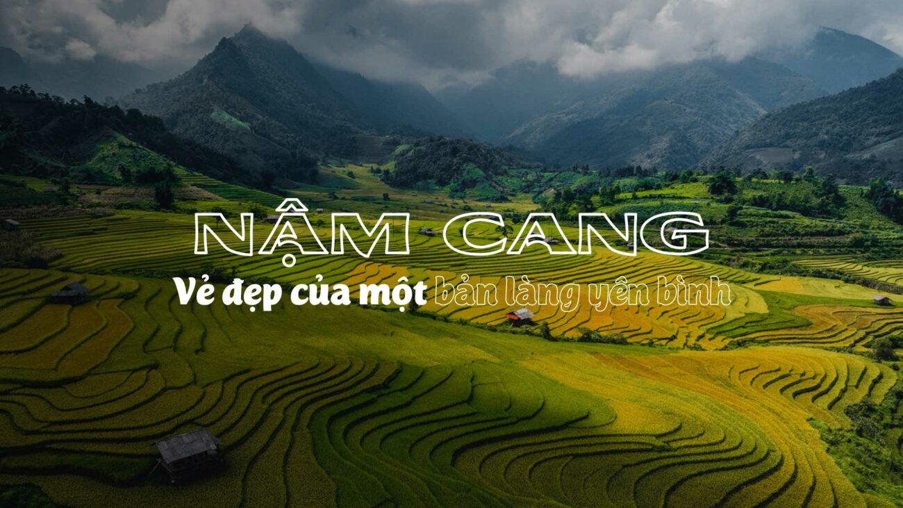 NẬM CANG: NÂNG NIU MÙA VÀNG VÙNG CAO NGUYÊN