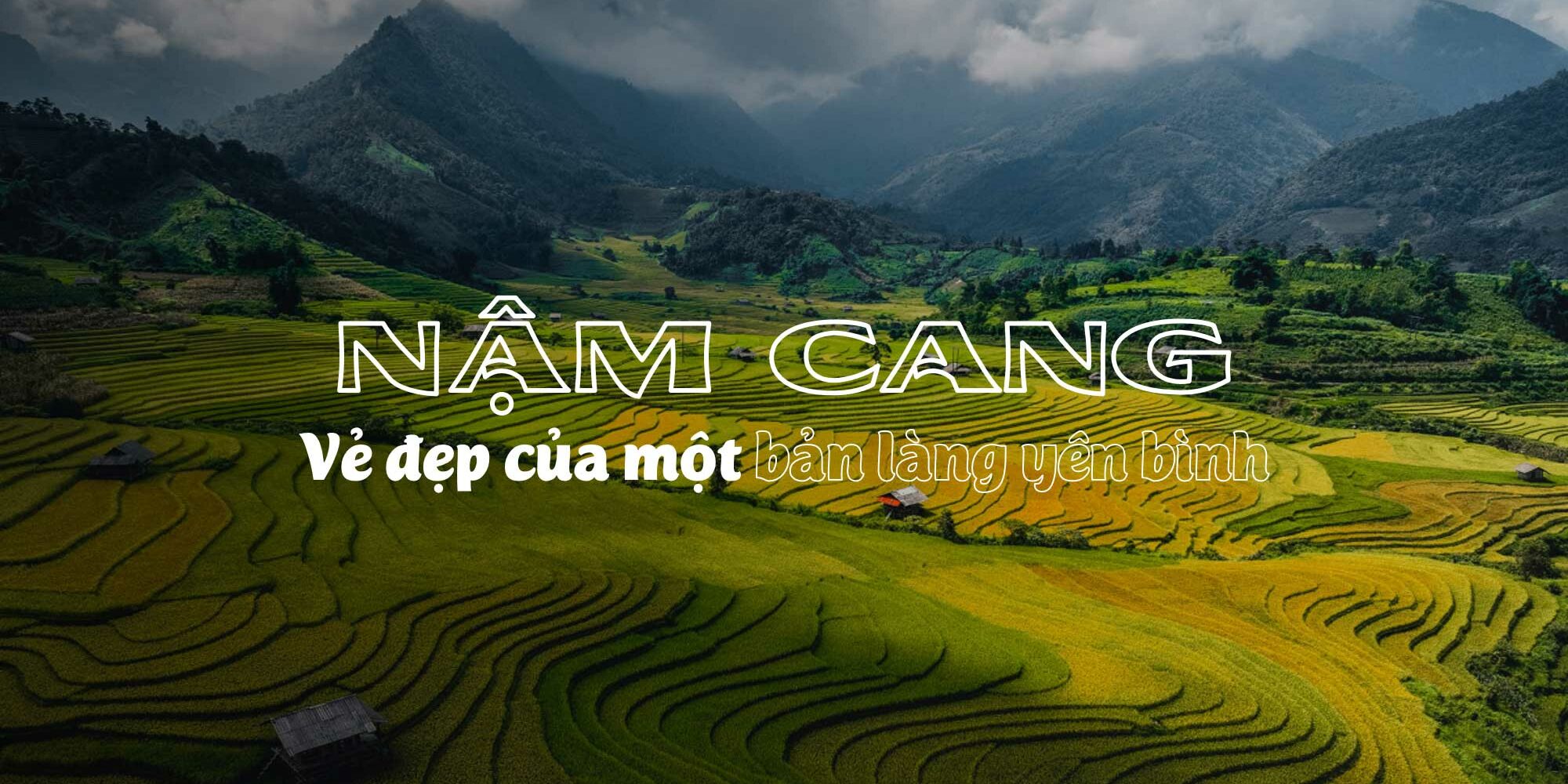 NẬM CANG: NÂNG NIU MÙA VÀNG VÙNG CAO NGUYÊN
