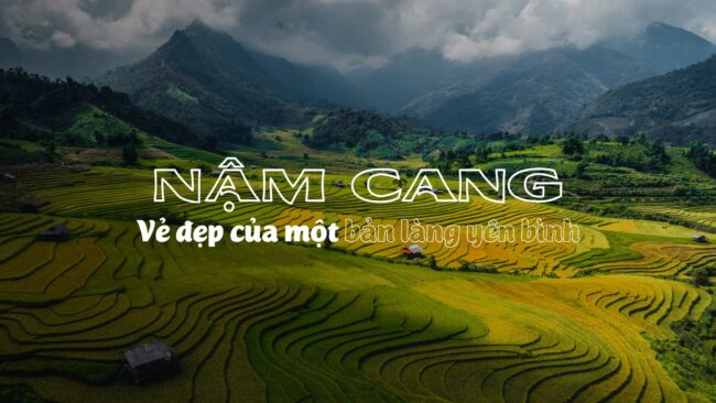 NẬM CANG: NÂNG NIU MÙA VÀNG VÙNG CAO NGUYÊN NẬM CANG: NÂNG NIU MÙA VÀNG VÙNG CAO NGUYÊN