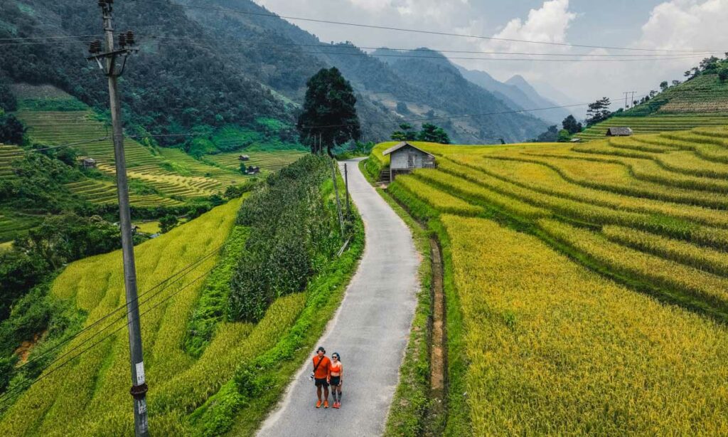 Những cánh đồng lúa đã bắt đầu ngả vàng