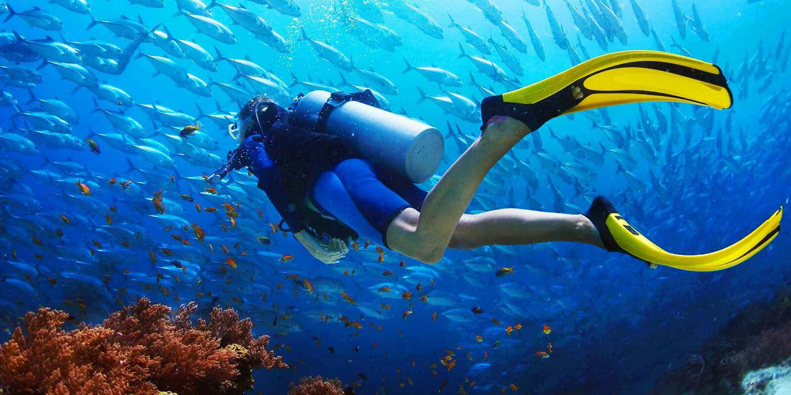 du-lich-mao-hiem-lan-bien-va-kham-pha-dai-duong-sau-tham