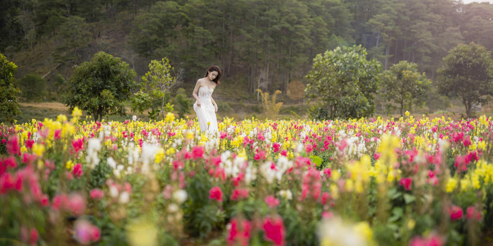 the-florest-hoa-trong-rung