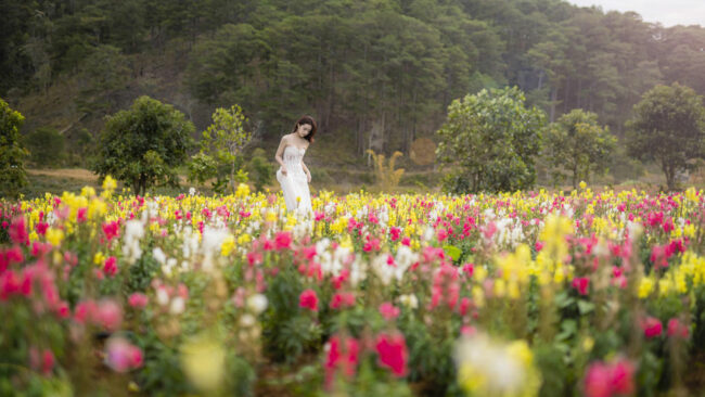 the-florest-hoa-trong-rung